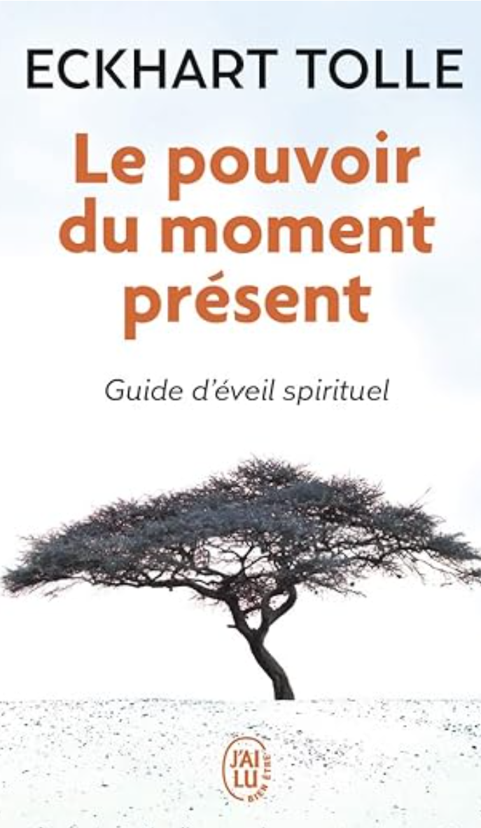 Le pouvoir du moment présent: guide d'éveil spirituel